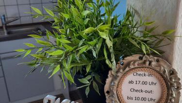 Schöne EinZimmer Wohnung Zwischen Bodensee und Allgäu - Foto 4