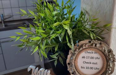 Schöne EinZimmer Wohnung Zwischen Bodensee und Allgäu - Foto 4