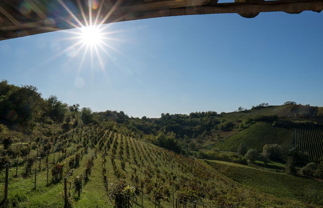 Cascina Allegria - Foto 17