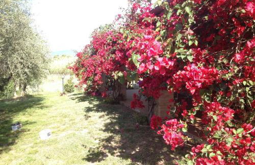 Casa Santina - Foto 70