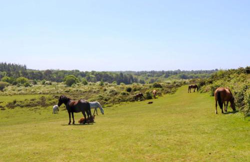 Smugglers Cottage - Foto 49