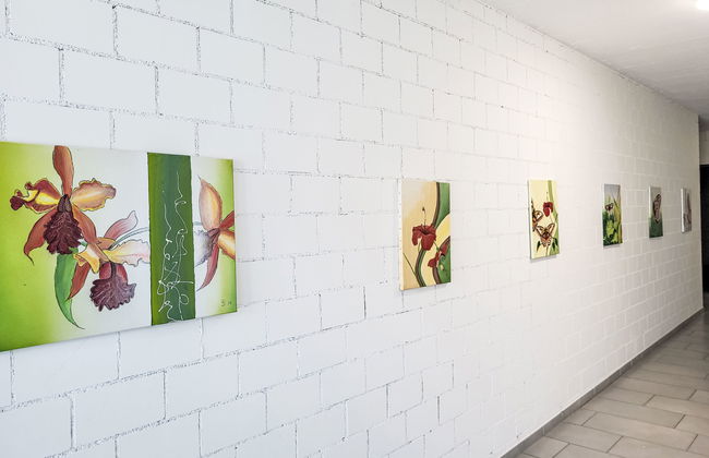 Bella Vista (EG) - Foto 29