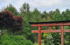 Sowi Dworek - Foto 2