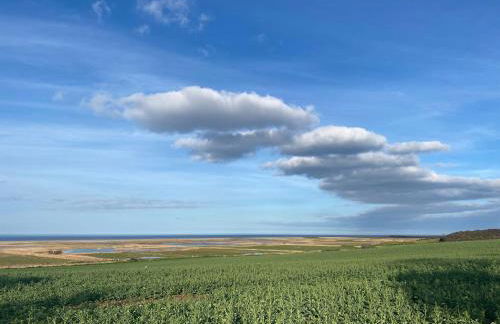 Bramblebee Cottage Salthouse - Photo 18