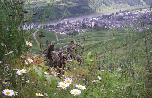 Weingut Bernd Hermes - Foto 14