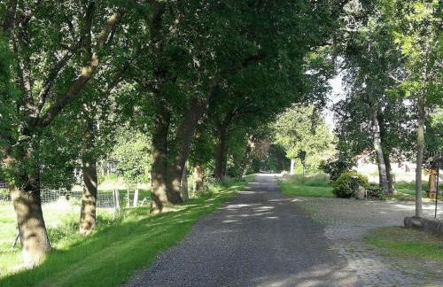 Ferienhaus im Moor - Foto 31