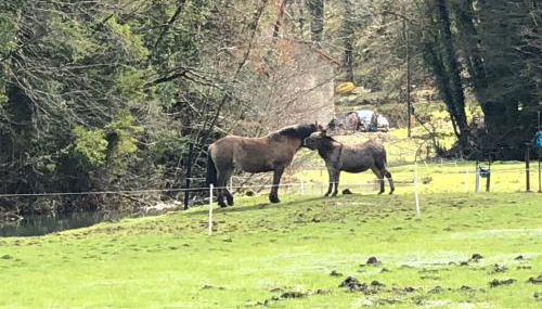 Gîte de l'Abbaye de l'Étanche - Foto 4