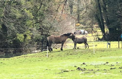 Gîte de l'Abbaye de l'Étanche - Foto 4