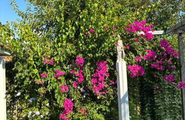 Hermes Grove - Foto 34