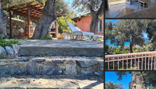 Casa Melograno - Photo 5