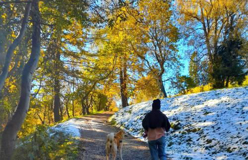 Chalet Dolomiti - Foto 25