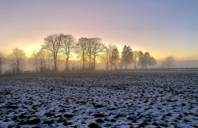 Apartment Near Forest in Nidrum - Foto 24