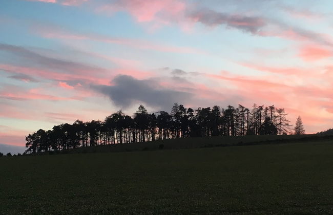 Hillside Havens - Foto 50