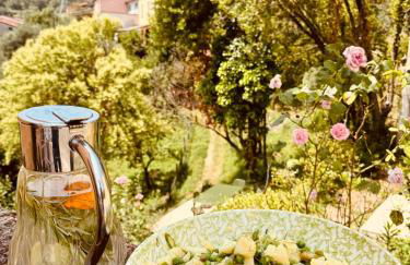 Renovated Tuscan Home overlooking Vineyards - Photo 13