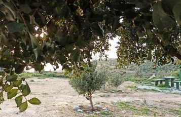 Villa George Sea View with pool - Triopetra - Foto 46