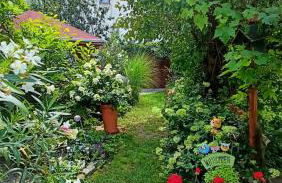 Urlaub mit Charme in der kleinsten Stadt der Pfalz. - Foto 61