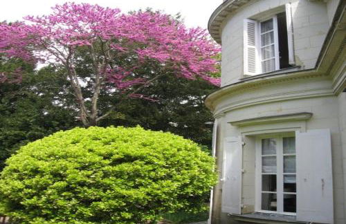 Le Belvédère,studio - Foto 18