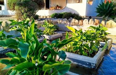 Casa Oasis - Paraiso na Terra - Foto 1