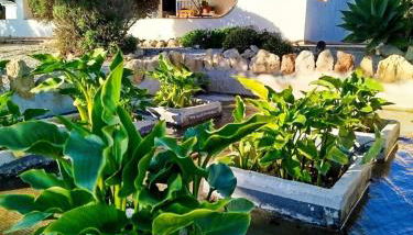 Casa Oasis - Paraiso na Terra - Foto 1