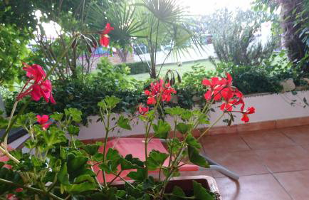 Apartment Devčić - Photo 46