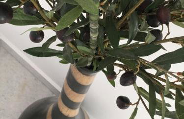 Nea Stira Studios Kondilia - Foto 54