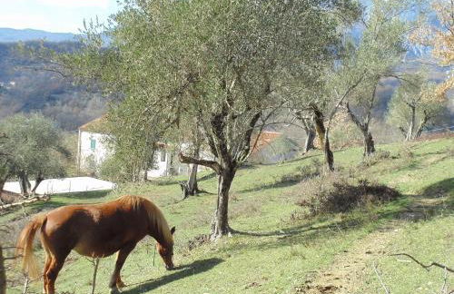 la masseria di Antonio e Teresina - Foto 73