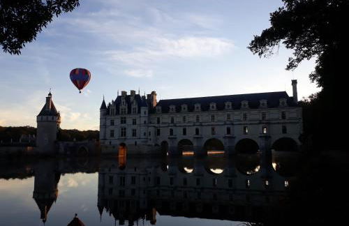 Gite La Vigneronne en Touraine - Foto 15