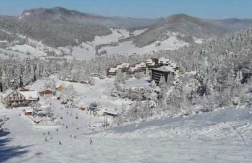 Studio chaleureux à Corrençon-en-Vercors pour 4 personnes, au pied des pistes - FR-1-515-229 - Foto 4