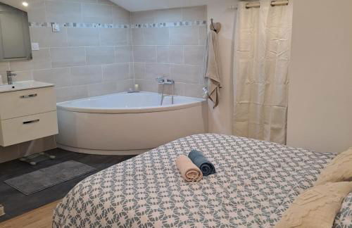 Coeur bleu de Ribérac - hyper centre - Foto 15