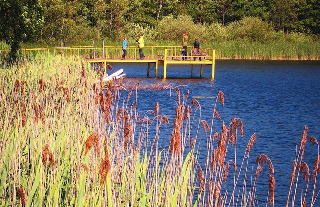 Bungalows am Vordersee, Dobbrikow - Foto 14