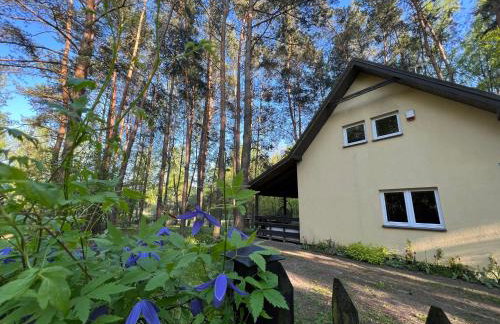 Kurort Mirowice-domek w lesie, z balią z jacuzzi i hydromasażem - Foto 7