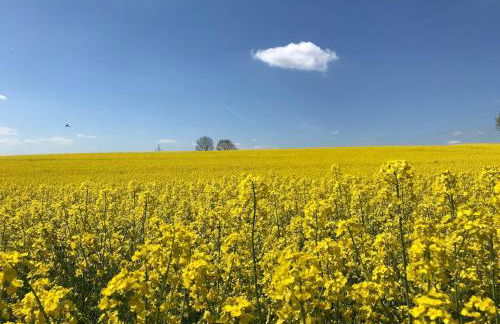 Seelenglück - Foto 19