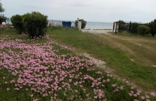 Entire Appartment 50m from sea - Spiros - Photo 23