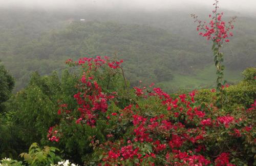 Chalet Schönenberg - Foto 67
