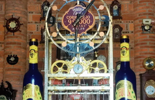 Excursión privada a la tequilera Corralejo y la zona arqueológica Plazuelas - Foto 2