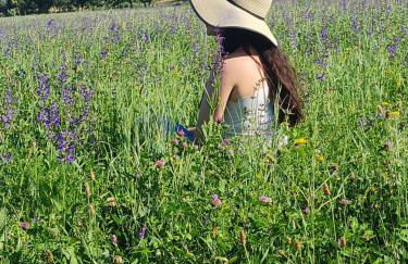 Pâquerette - Foto 48