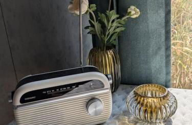 Hausboot Urlaub in Ostfriesland auf der Waterhome 1 - Foto 10