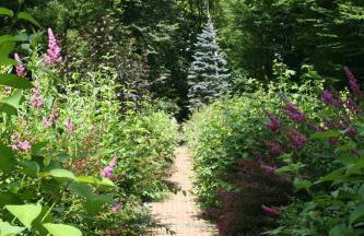 Willa Różana - Foto 21