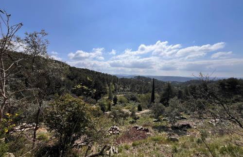 Aix-en-Provence, Bastidon provençal plein cœur de la forêt avec vue unique - Foto 78