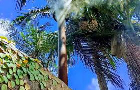 Cabana Jandaia - Foto 29