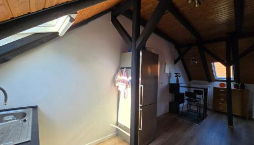 Zentrale Wohnung, Haustiere- und Kinderfreundlich - Foto 5