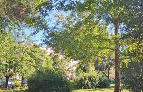 Apartment NADA in the center of Split - Foto 32