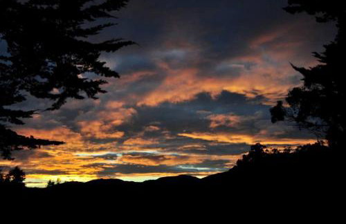 Antique Indonesian Teakwood Cottage for a Romantic Getaway in Petaluma, California - Foto 35