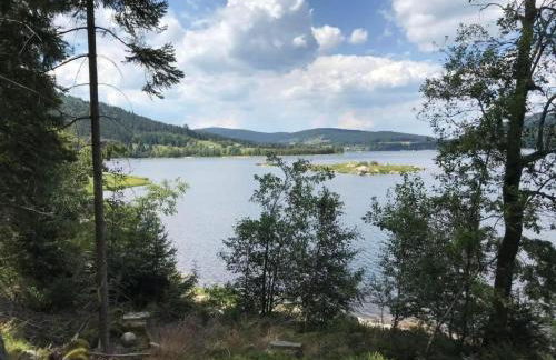 Holiday Home Schluchseehuus by Interhome - Foto 23