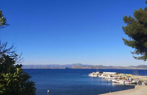 Apartments Jasu - Photo 65