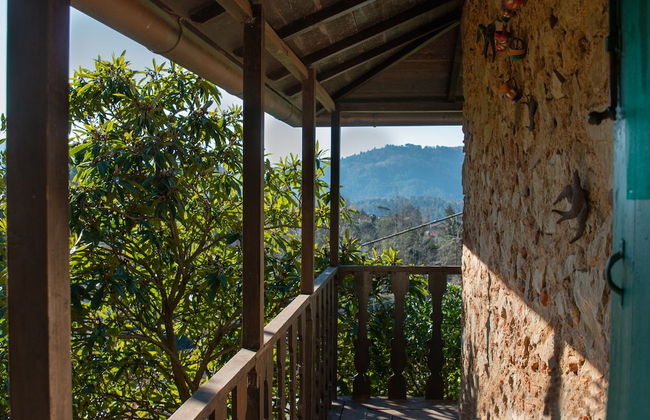 Villa La Pieve - Foto 23