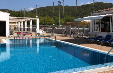 Sweet William - Foto 29