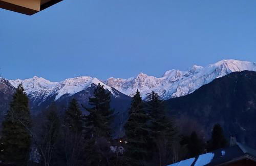 New Spacious Appart. Incredible view of Mt Blanc - Photo 19