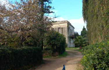 Villa Feia - Photo 37