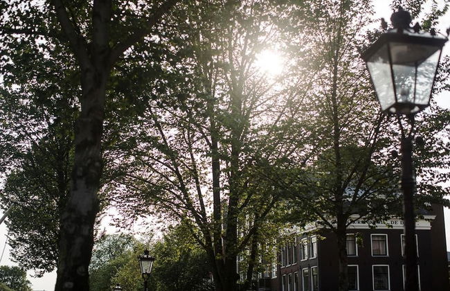 SWEETS - Scharrebiersluis - Foto 14